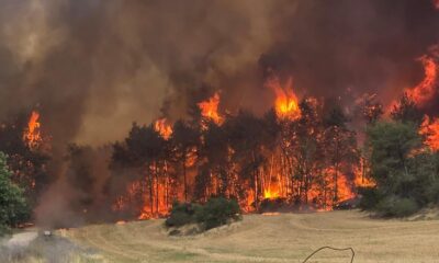 Incendios forestales Jerusalén - Agencia Carabobeña de Noticias - acn