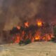 Incendios forestales Jerusalén - Agencia Carabobeña de Noticias - acn