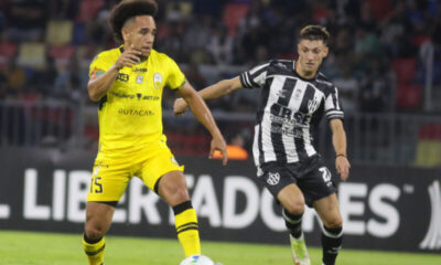 Deportivo Táchira una derrota -Agencia Carabobeña de Noticias – ACN – Deportes