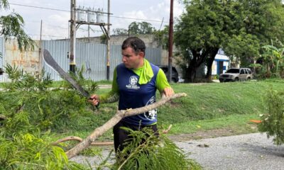 San Diego poda samán - Agencia Carabobeña de Noticias - acn