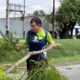 San Diego poda samán - Agencia Carabobeña de Noticias - acn