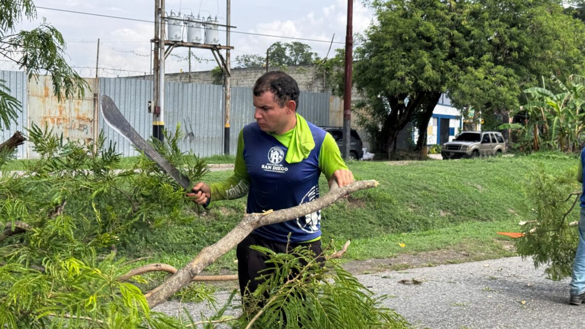 San Diego poda samán - Agencia Carabobeña de Noticias - acn
