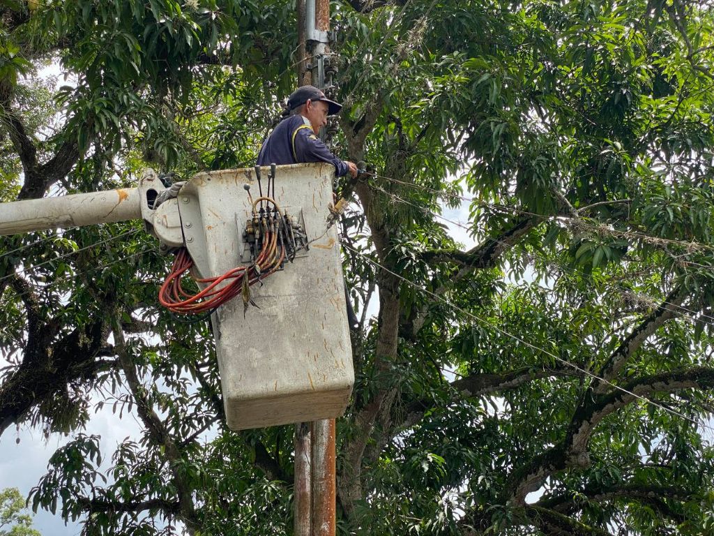 Instalan más de 250 lámparas LED - Agencia Carabobeña de Noticias