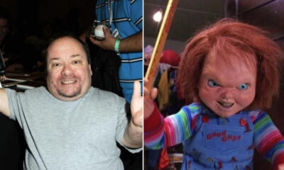 Falleció actor Ed Gale Chucky - Agencia Carabobeña de Noticias - acn