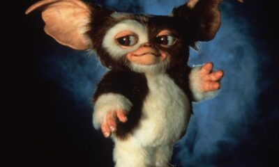 Vuelven los Gremlins -Agencia Carabobeña de Noticias – ACN – Espectáculos