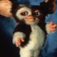 Vuelven los Gremlins -Agencia Carabobeña de Noticias – ACN – Espectáculos
