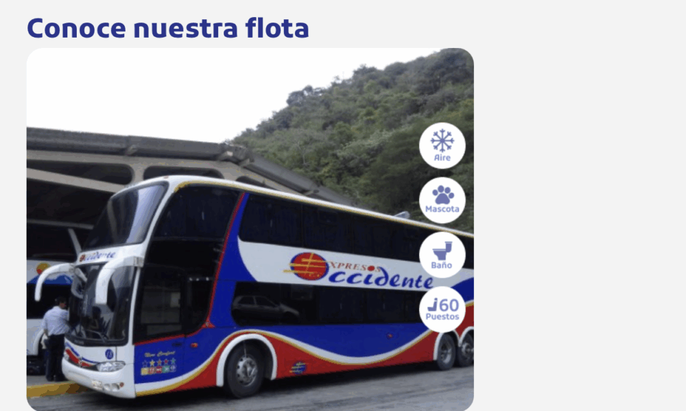 BUSI Boletos primer cuatrimestre de 2025
