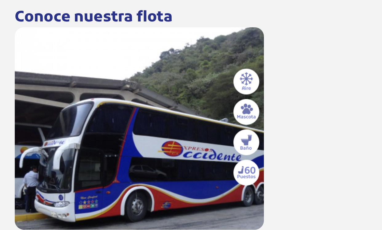 BUSI Boletos primer cuatrimestre de 2025