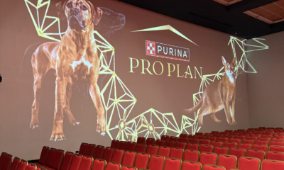 Congreso Veterinario de León