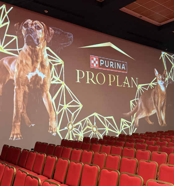 Congreso Veterinario de León