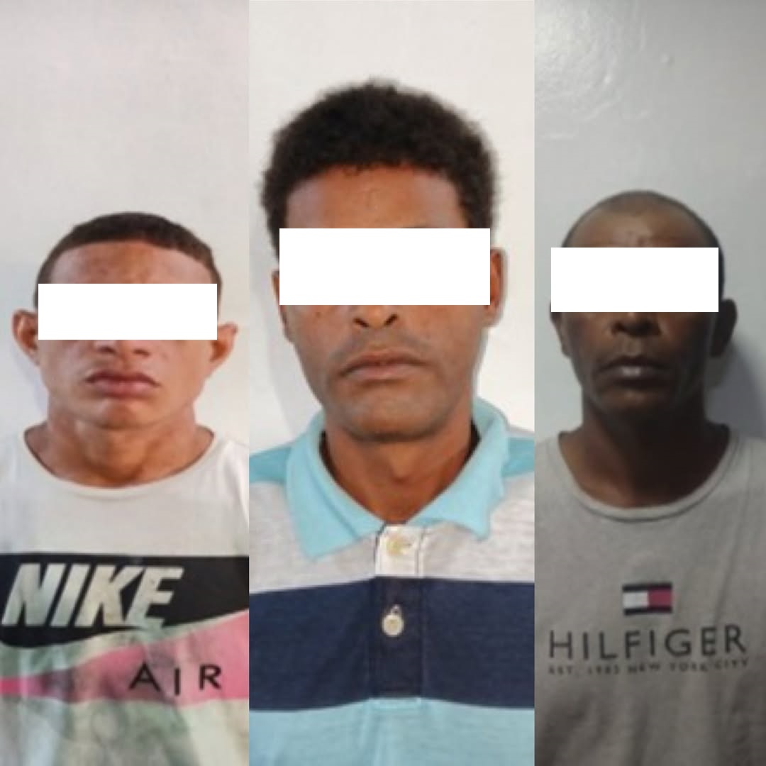 Detenido con sus compinches por robar vivienda de su tía