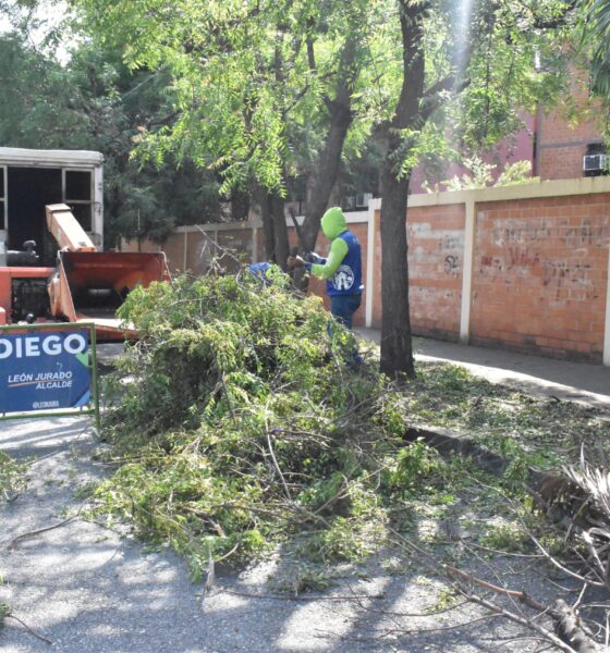 Fumcosandi realizó limpieza de áreas verdes - Agencia Carabobeña de Noticias