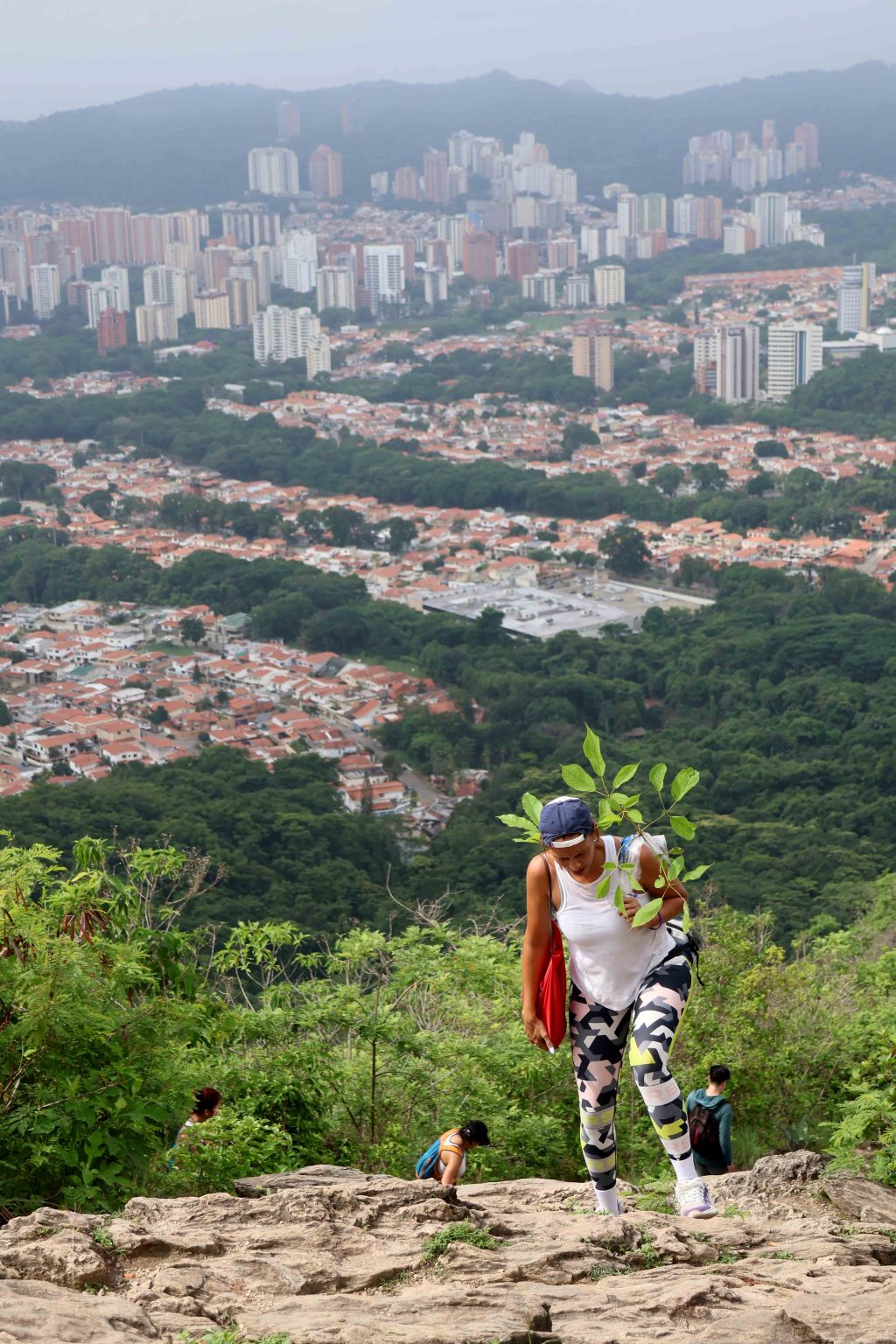Mega Jornada de Reforestación 2025 - Agencia Carabobeña de Noticias