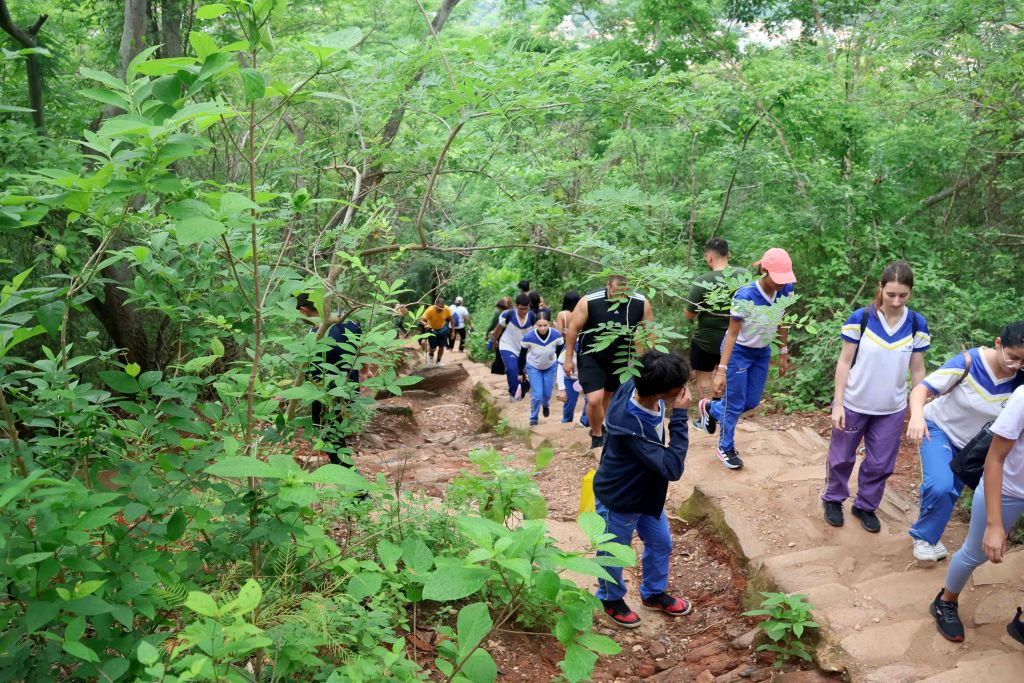 Mega Jornada de Reforestación 2025 - Agencia Carabobeña de Noticias