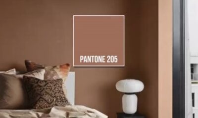 Mocha mousse color 2025