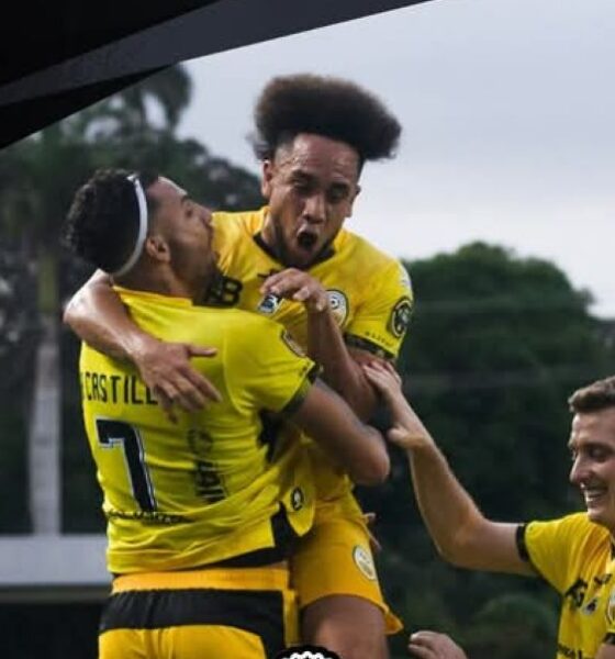 Táchira a final del Apertura - Agencia Carabobeña de Noticias