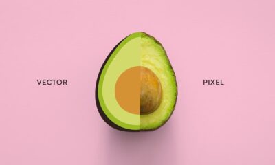 Vectorizar una Imagen