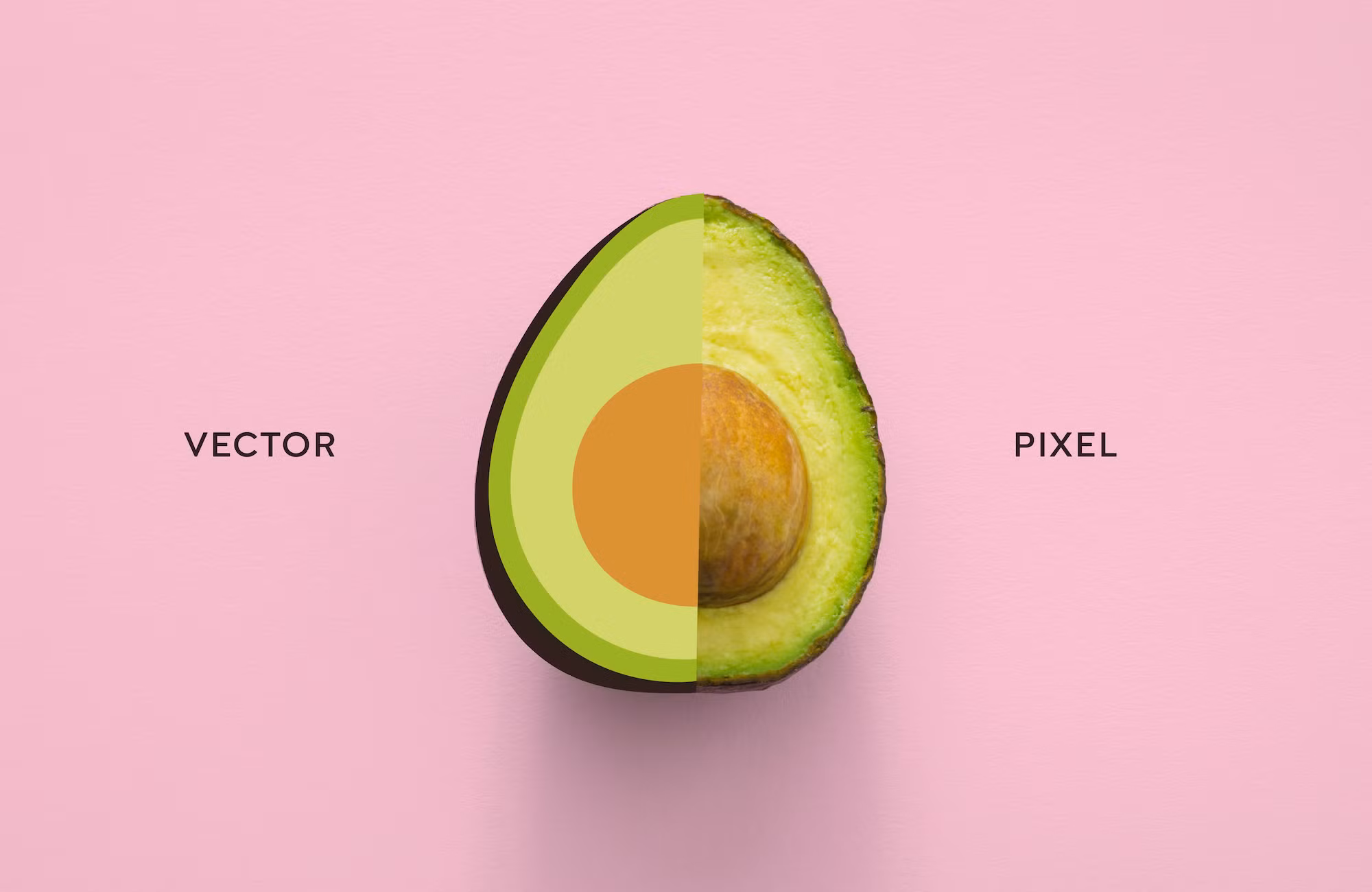 Vectorizar una Imagen