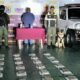 incautaron en el estado Apure, -Agencia Carabobeña de Noticias – ACN – Sucesos