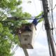 Cuadrillas eléctricas de IAM Fumcosandi - Agencia Carabobeña de Noticias