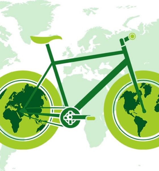 Día Mundial de la Bicicleta - Agencia Carabobeña de Noticias