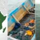 Encuentran 14 africanos muertos - Agencia Carabobeña de Noticias
