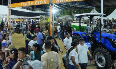 Feria San Celestino 2025