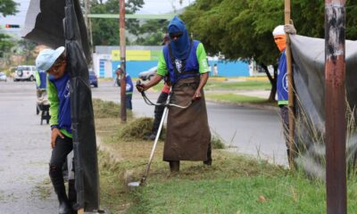 Fumcosandi realiza mantenimiento y desmalezado - Agencia Carabobeña de Noticias