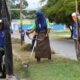 Fumcosandi realiza mantenimiento y desmalezado - Agencia Carabobeña de Noticias