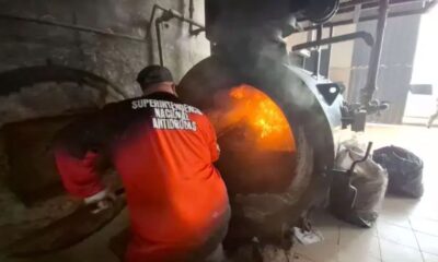 Incinerados más de 1.500 kilos de cocaína - Agencia Carabobeña de Noticias