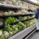 Nuevo sistema de precios - Agencia Carabobeña de Noticias