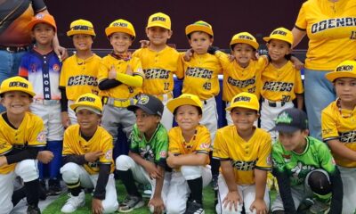Ositos 2019  busca tricampeonato - Agencias Carabobeña de Noticias