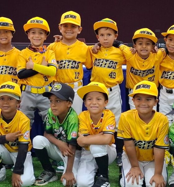 Ositos 2019  busca tricampeonato - Agencias Carabobeña de Noticias