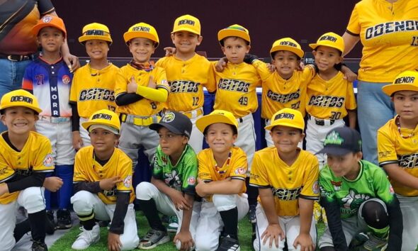Ositos 2019  busca tricampeonato - Agencias Carabobeña de Noticias