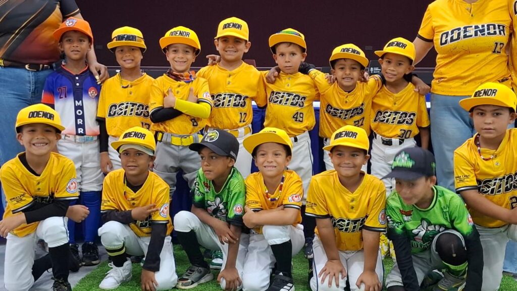 Ositos 2019 busca tricampeonato - Agencias Carabobeña de Noticias