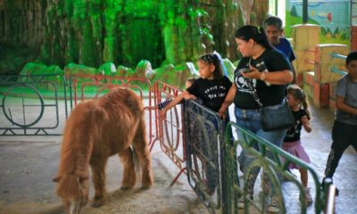 Parque Draculandia recibió excursiones - Agencia Carabobeña de Noticias