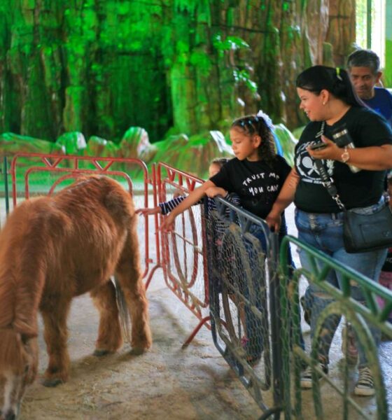 Parque Draculandia recibió excursiones - Agencia Carabobeña de Noticias