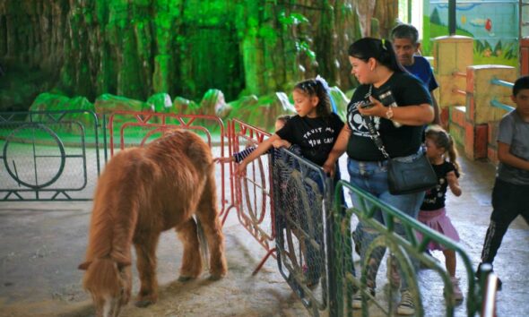 Parque Draculandia recibió excursiones - Agencia Carabobeña de Noticias