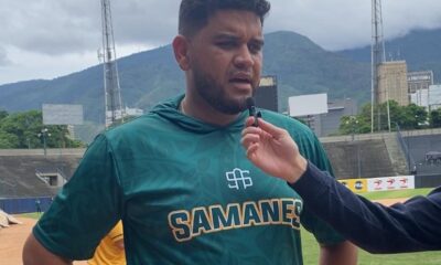 Pedro Castellanos Samanes de Aragua