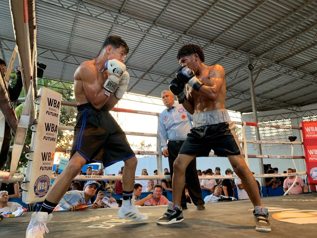 Regresa el WBA Future al Yesterday de Maracay - Agencia Carabobeña de Noticias