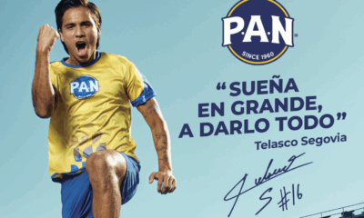 Telasco Segovia P.A.N.