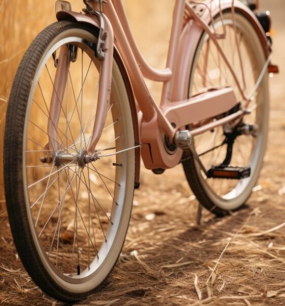 bicicleta arte vintage