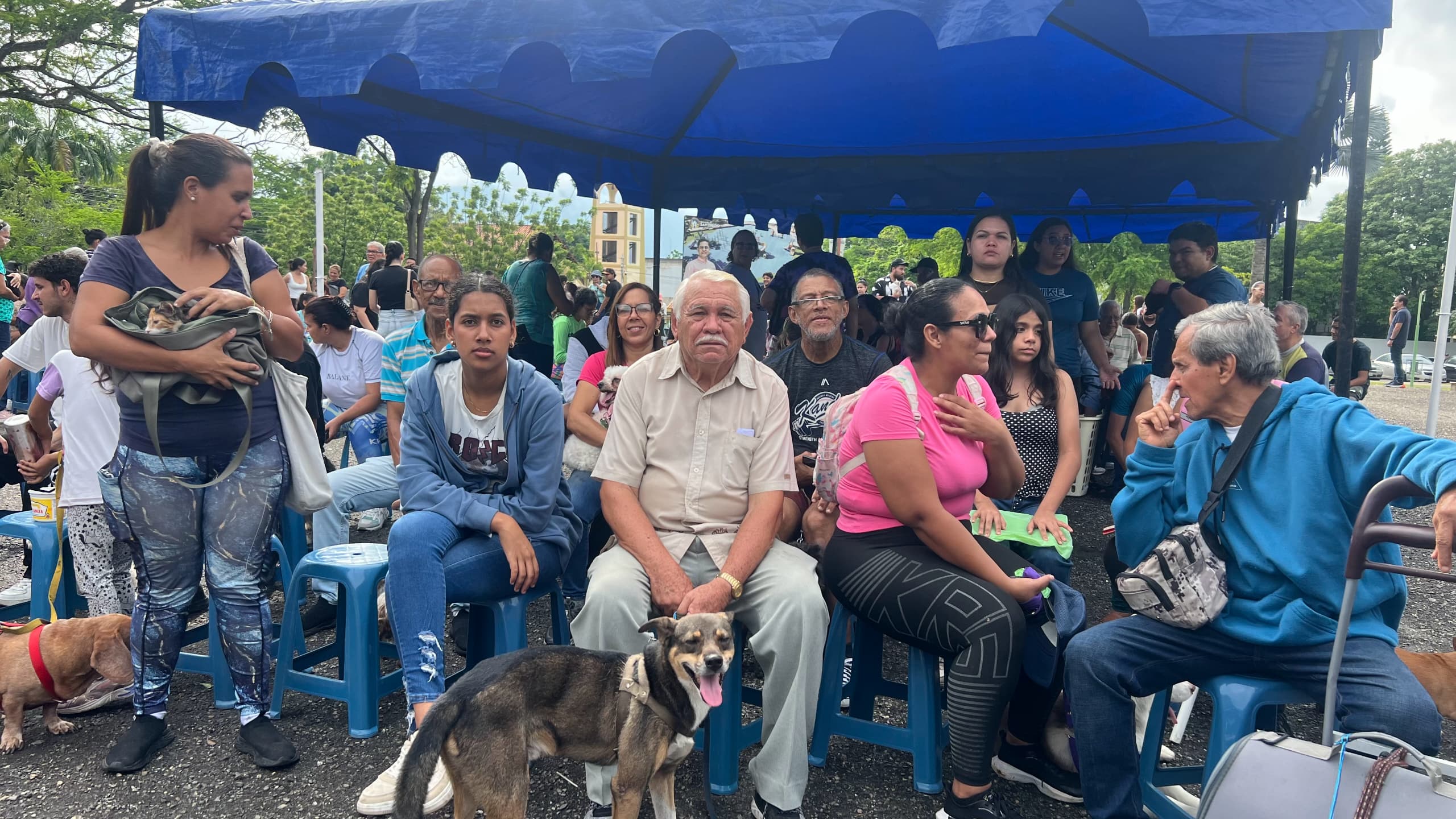 Alcaldía de San Diego atendió a 400 mascotas - Agencia Carabobeña de Noticias