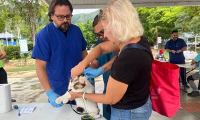 Alcaldía de San Diego atendió a 400 mascotas - Agencia Carabobeña de Noticias