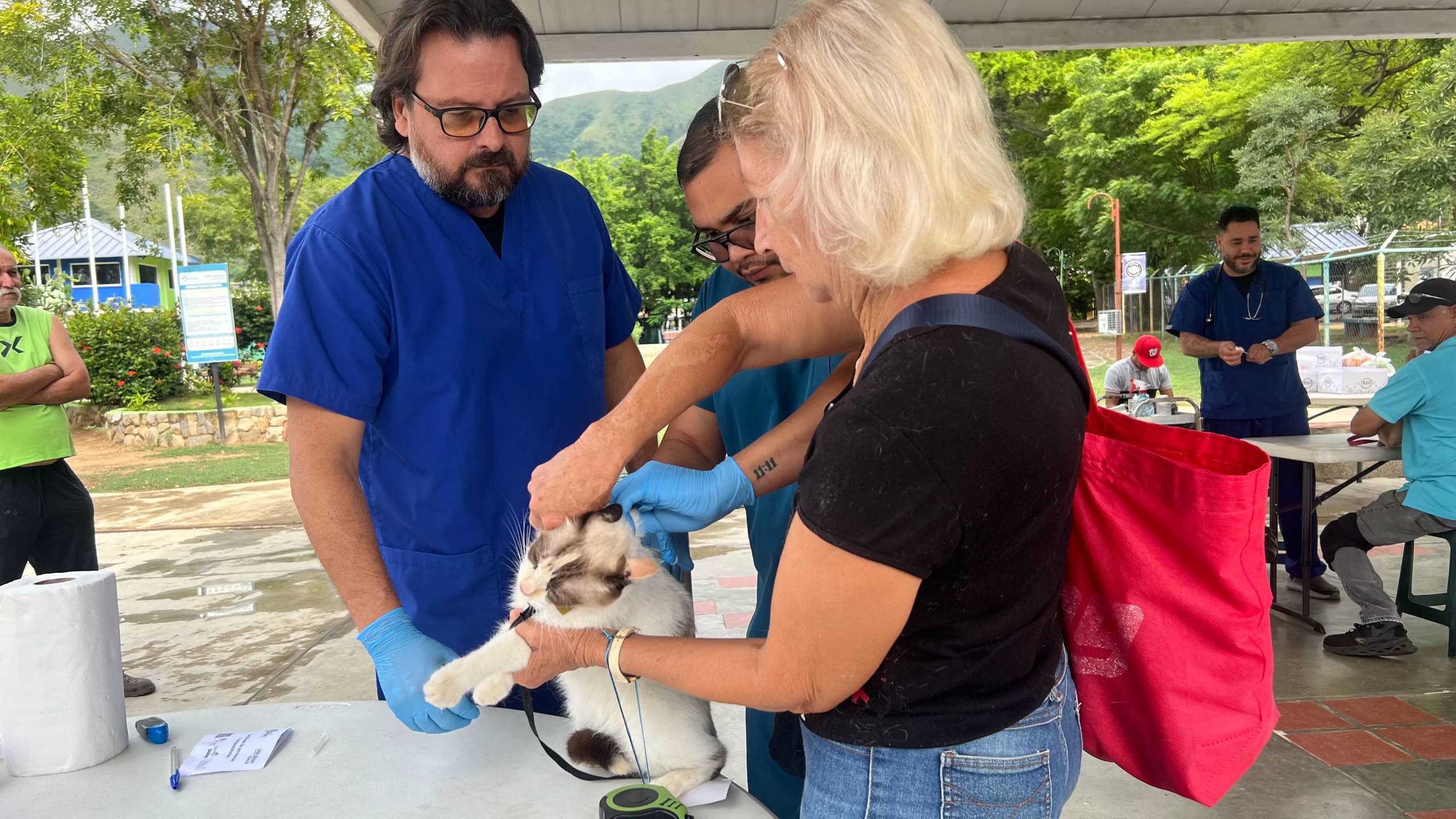 Alcaldía de San Diego atendió a 400 mascotas - Agencia Carabobeña de Noticias
