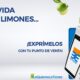 Banco Exterior puntos de venta