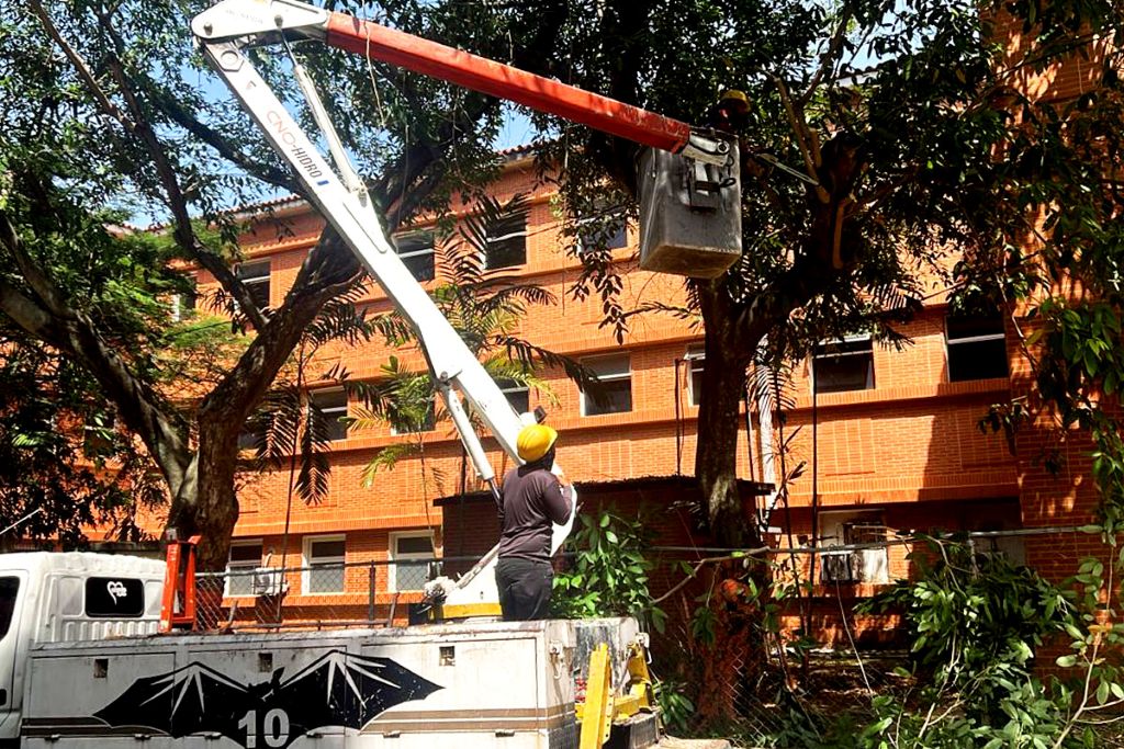 Carabobo Te Quiero ejecutó labores de limpieza - Agencia Carabobeña de Noticias