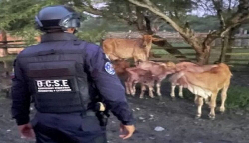Frustran secuestro de dos productores agropecuarios - Agencia Carabobeña de Noticias
