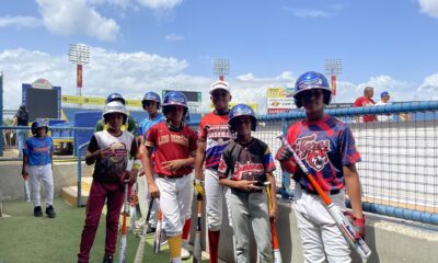 Fundación Magallanes donativo