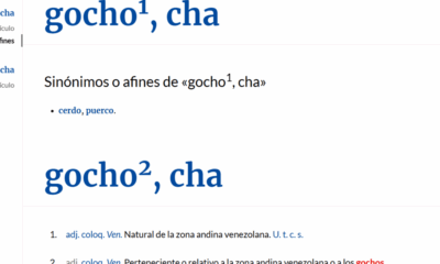 Gocho llega a la RAE - Agencia Carabobeña de Noticias